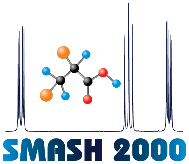 SMASH 2000 Logo